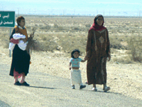 Sahara 2008